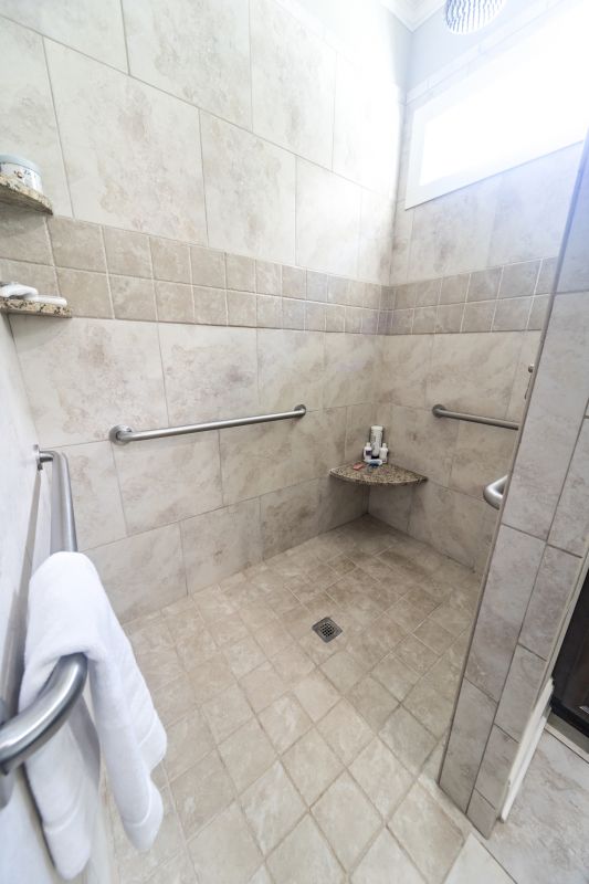 Walk-in Shower Areas
